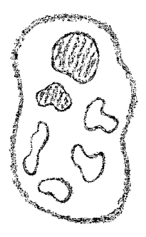 AltName