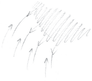 AltName