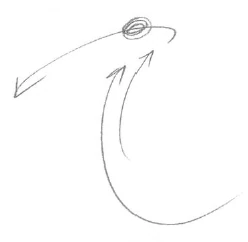 AltName