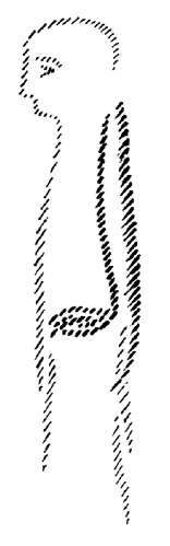 AltName