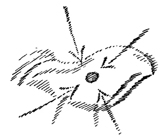 AltName