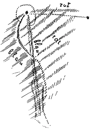 AltName