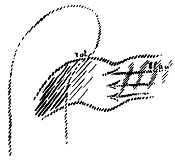 AltName
