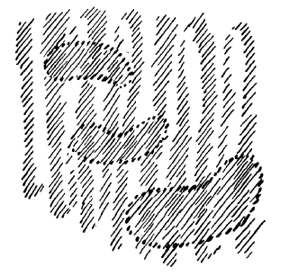 AltName