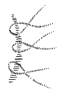 AltName