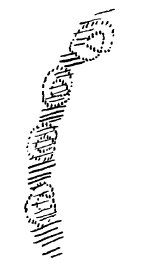 AltName