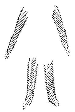 AltName