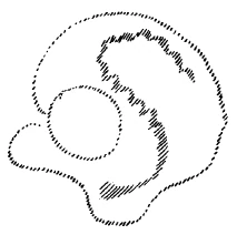 AltName