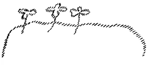 AltName