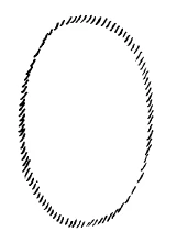 AltName