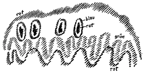 AltName