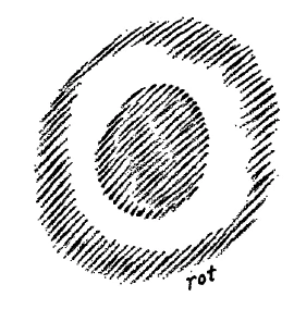 AltName