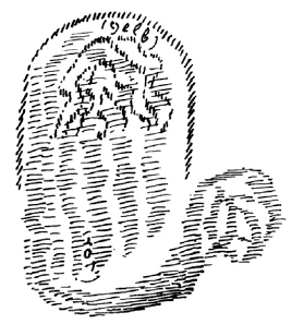 Abbildung 3