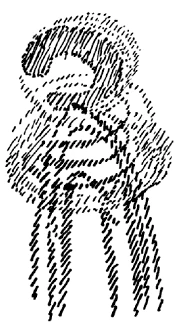 Abbildung 5