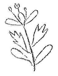 Diagram 5