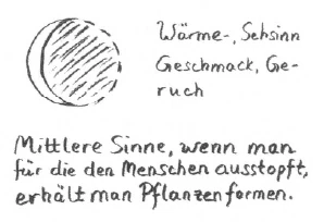 AltName