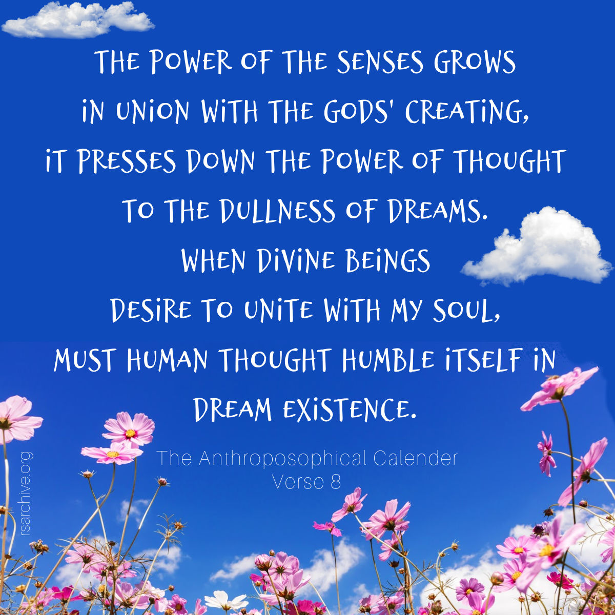 COTS Verse 8