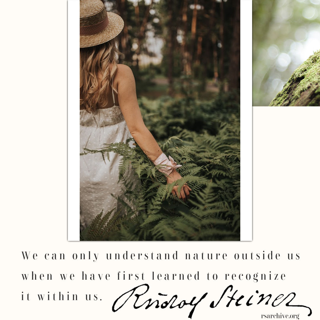 Nature Within US