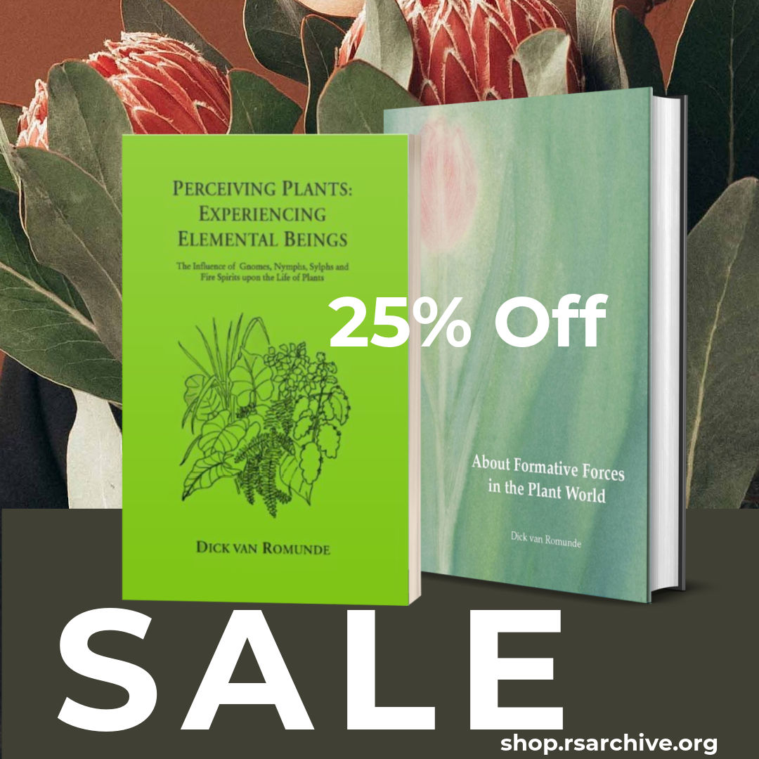 25% off Book Sale