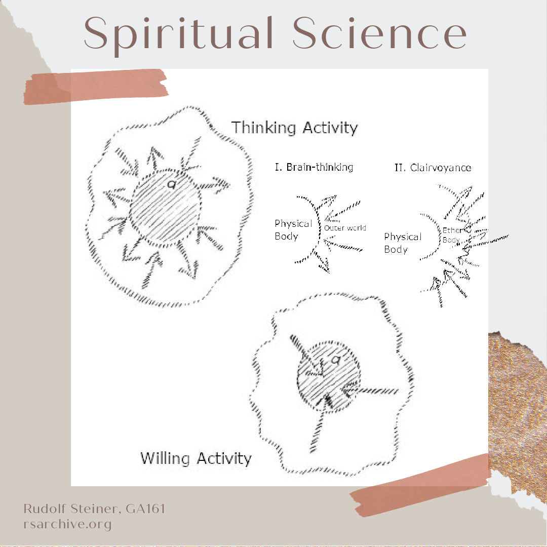 Understanding Human Development through Spiritual Science
