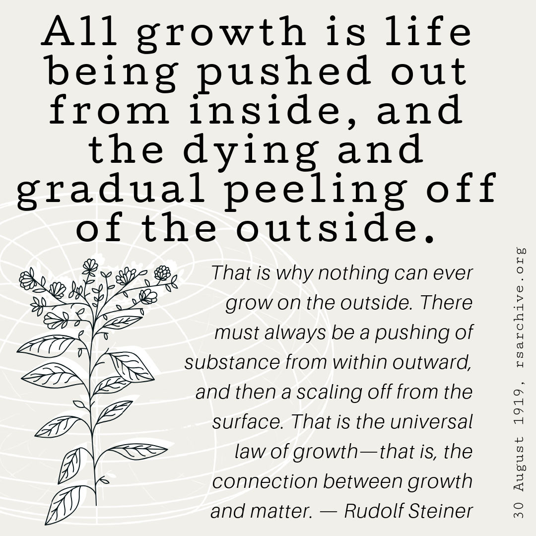 Growth