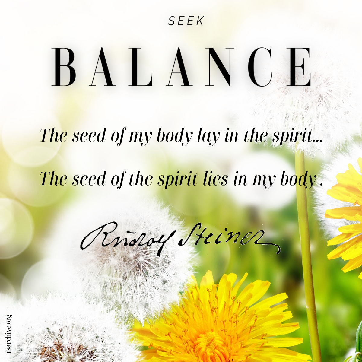 Balance